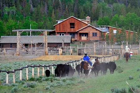 Teton Valley Ranch Camp